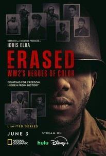 Erased: WW2's Heroes of Color cover art