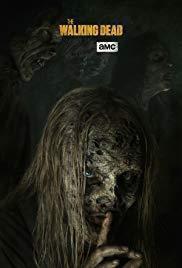 The Walking Dead Season 10 cover art