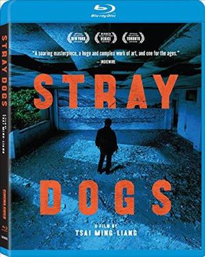 Stray Dogs cover art