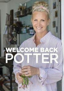 Welcome Back Potter Season 1 cover art