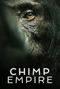 Chimp Empire Season 1 cover art