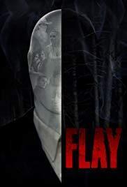 Flay cover art