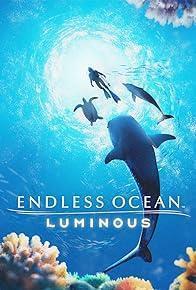 Endless Ocean Luminous cover art