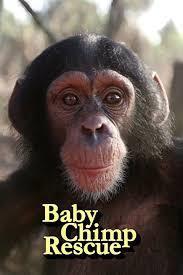 Baby Chimp Rescue Season 1 cover art