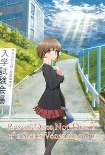 Rascal Does Not Dream of a Sister Venturing Out cover art