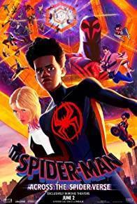 Spider-Man: Across the Spider-Verse cover art