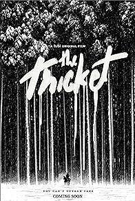 The Thicket cover art