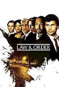 Law & Order Season 21 cover art