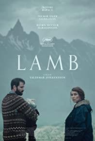 Lamb cover art