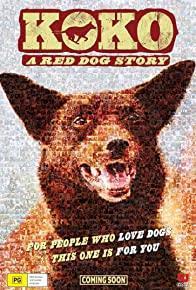 Koko: A Red Dog Story cover art