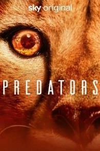 Predators Season 1 cover art