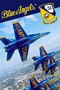 Blue Angels Aerobatic Flight Simulator cover art