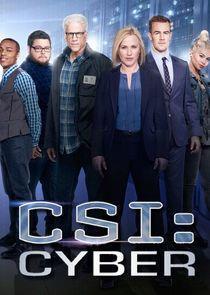 CSI: Cyber Season 2 (Part 2) cover art