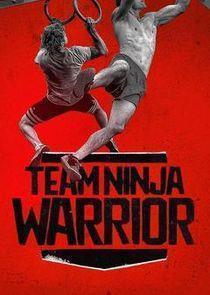 Team Ninja Warrior Season 3 cover art