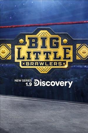Big Little Brawlers Season 1 cover art