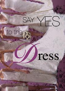 Say Yes to the Dress Season 14 cover art