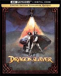 Dragonslayer (1981) cover art