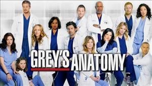 Grey's Anatomy Season 11 Episode 1: I Must Have Lost it on the Wind cover art