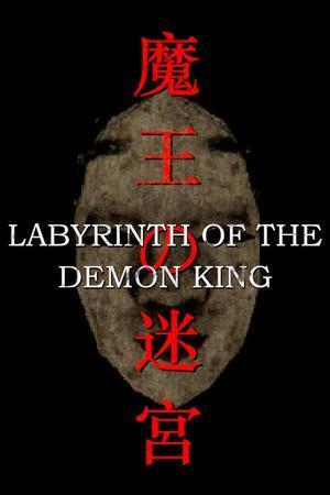 Labyrinth of the Demon King cover art