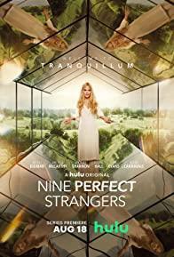 Nine Perfect Strangers Season 1 cover art