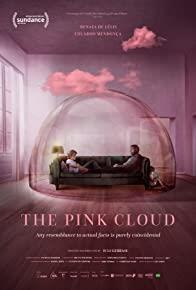 The Pink Cloud cover art