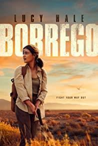 Borrego cover art