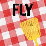 FLY cover art