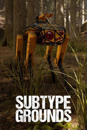 Subtype Grounds cover art