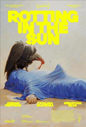 Rotting in the Sun cover art