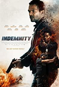 Indemnity cover art