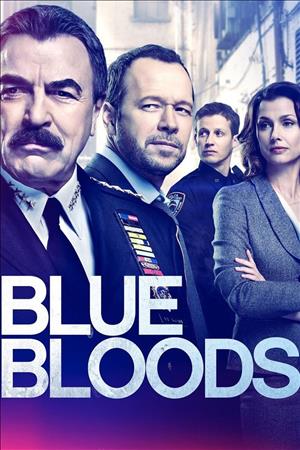 Blue Bloods Season 10 cover art