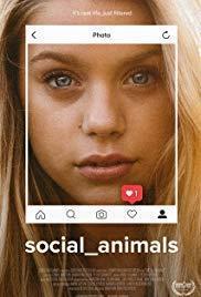 Social Animals cover art
