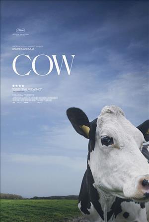 Cow cover art