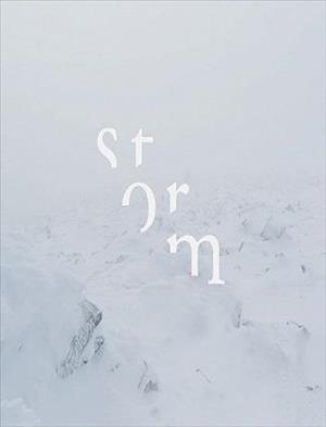 Storm VR cover art