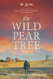 The Wild Pear Tree cover art
